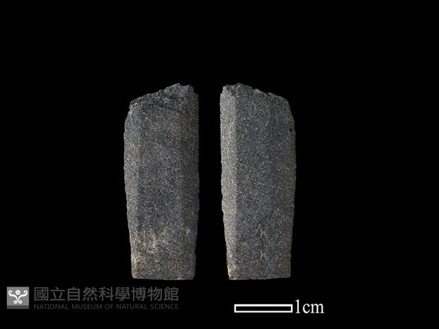 矛鏃形器藏品圖，第1張