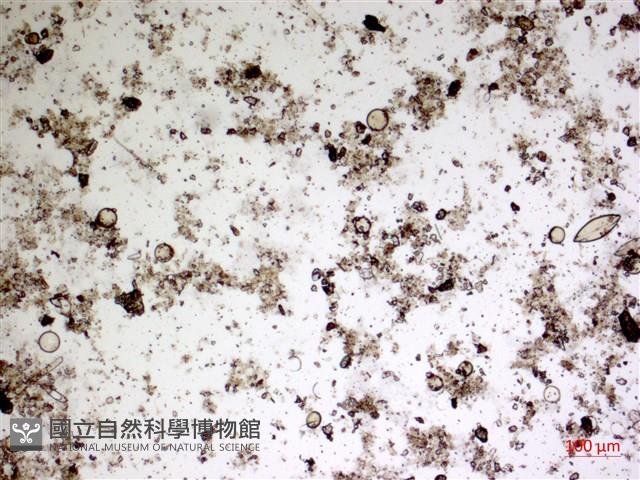 登錄號:A00004578藏品圖，第2張