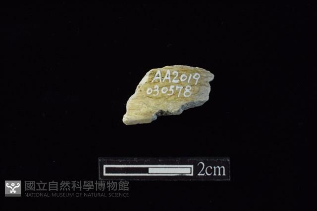 玉環藏品圖，第1張
