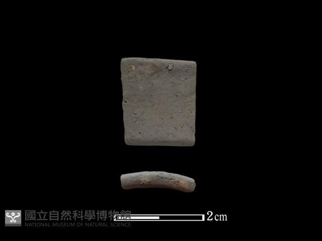 陶環藏品圖，第1張