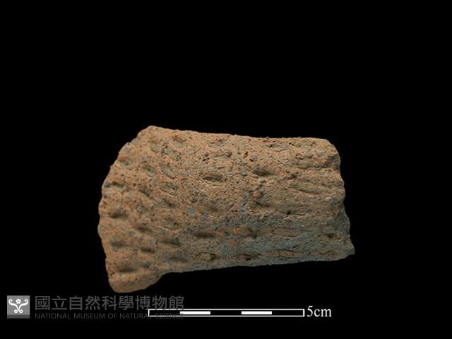 陶把藏品圖，第2張