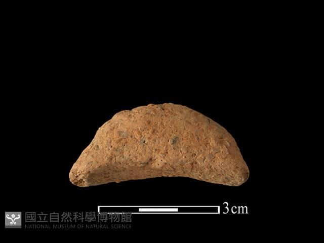 Accession Number:BY-2017-0878 Collection Image, Figure 2, Total 2 Figures