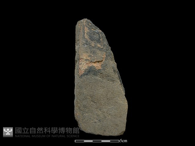 磨製斧鋤形器藏品圖，第1張
