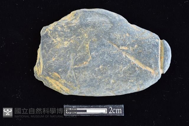 網墜藏品圖，第1張