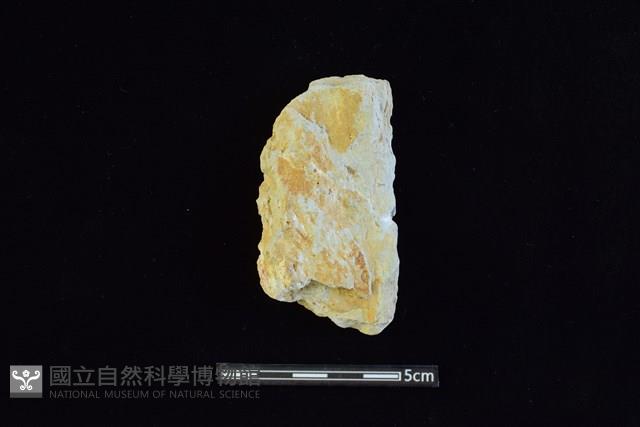 斧鋤形器藏品圖，第1張