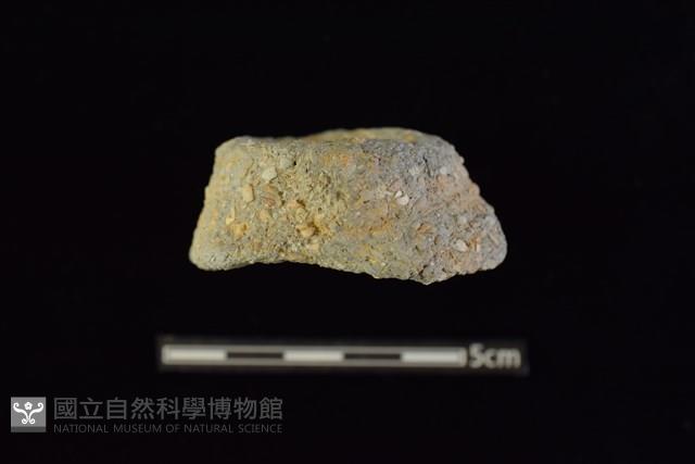 陶把及陶鈕藏品圖，第1張