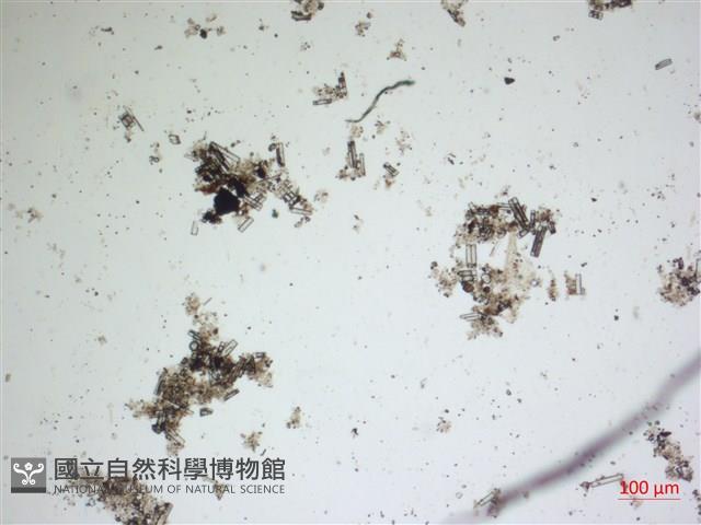 登錄號:A00004618藏品圖，第2張