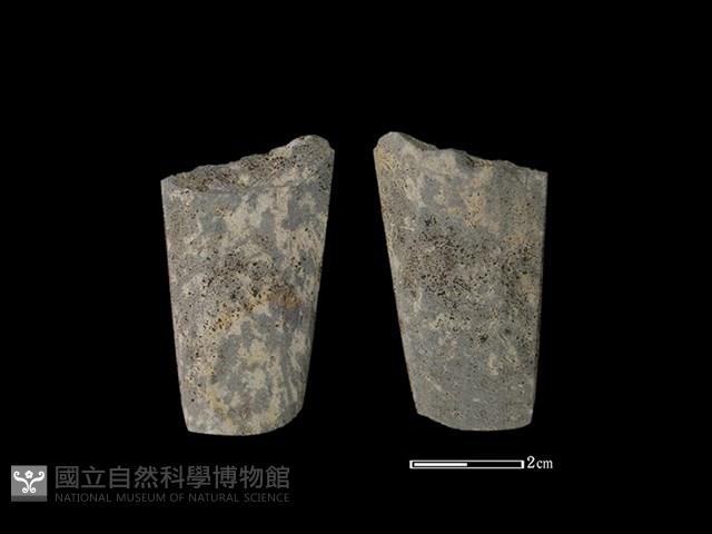 矛鏃形器藏品圖，第1張