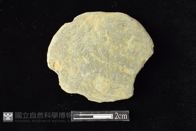 網墜藏品圖，第1張