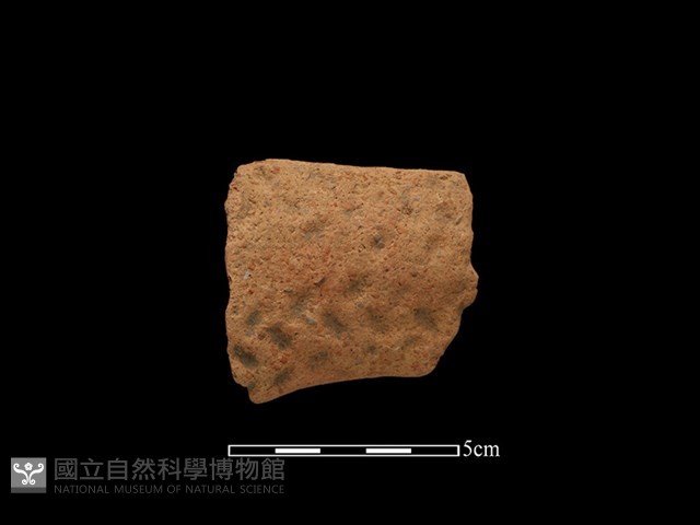 陶把藏品圖，第1張