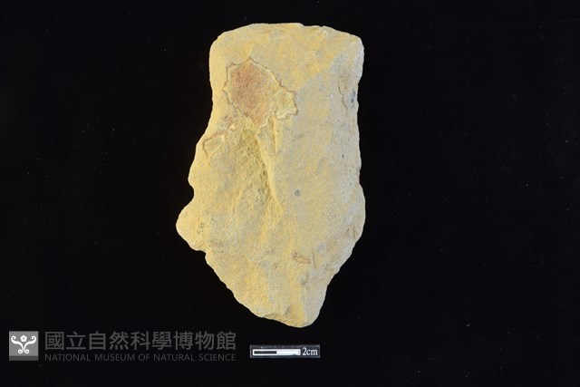 斧鋤形器藏品圖，第1張