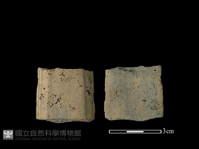 矛鏃形器藏品圖，第1張