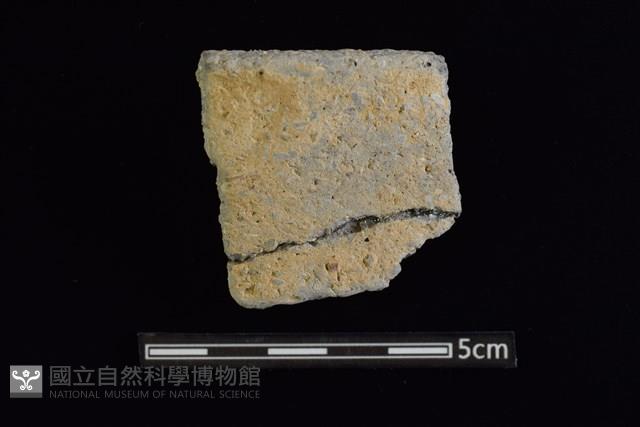 陶缽藏品圖，第1張