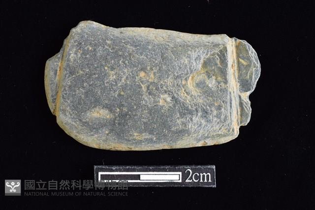 網墜藏品圖，第1張