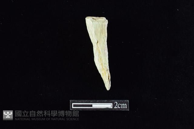 錛鑿形器藏品圖，第1張
