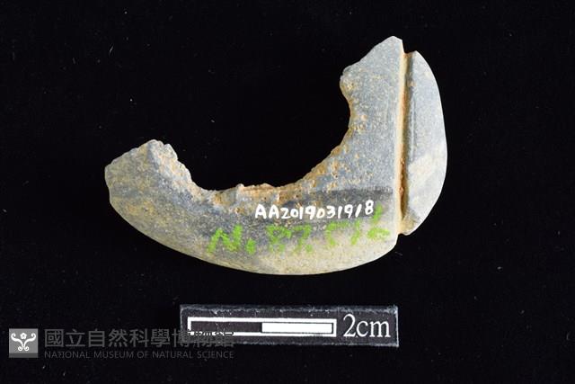 網墜藏品圖，第2張