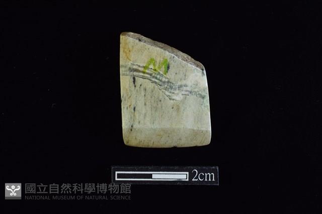 錛鑿形器藏品圖，第1張