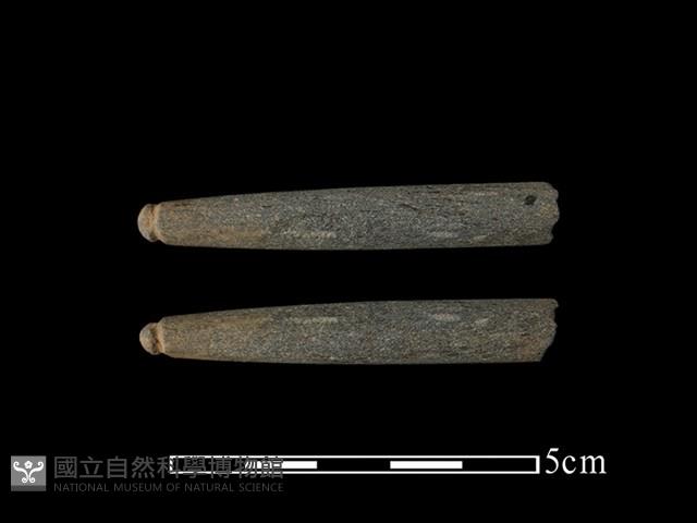 網墜藏品圖，第1張