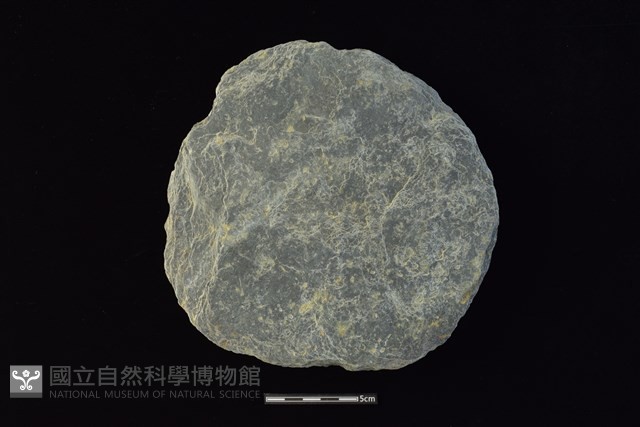 石圓片藏品圖，第1張