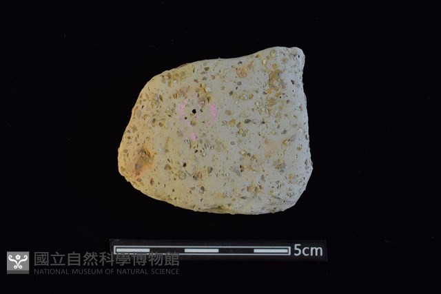 陶片藏品圖，第1張