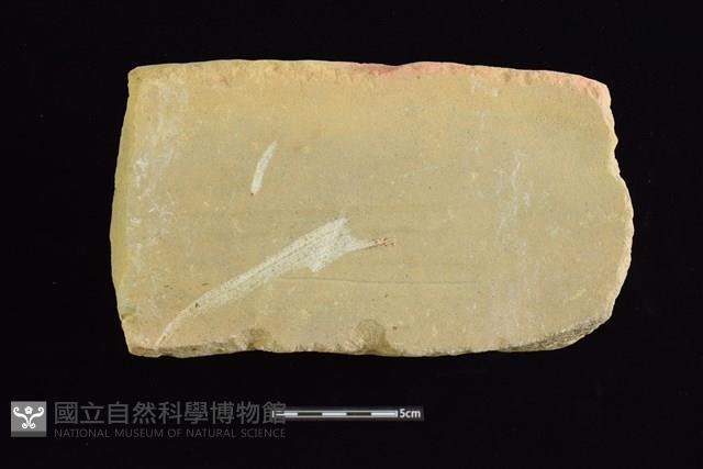 砥石藏品圖，第1張