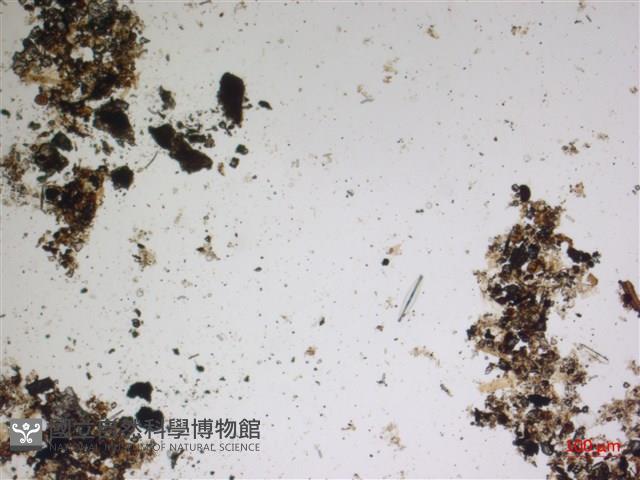 登錄號:A00004598藏品圖，第2張
