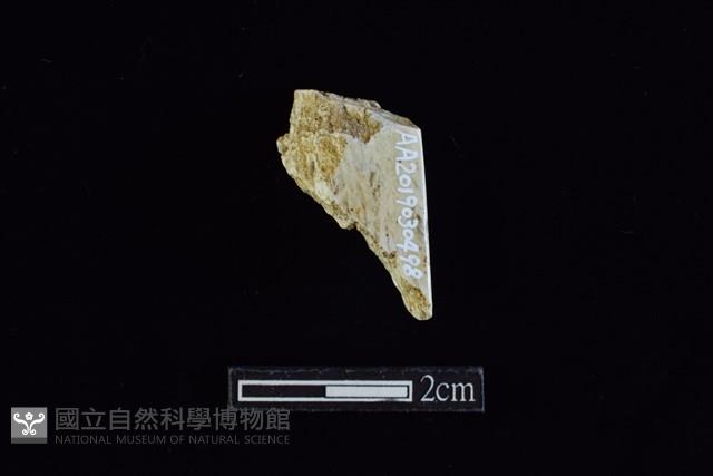 錛鑿形器藏品圖，第1張