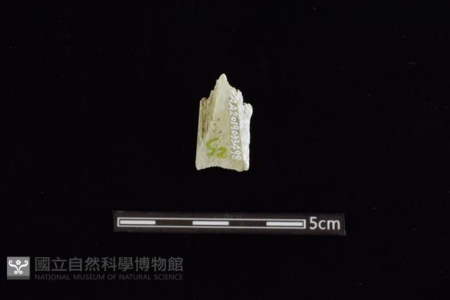 玉料藏品圖，第1張