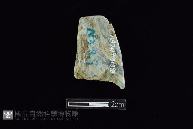 錛鑿形器藏品圖，第1張