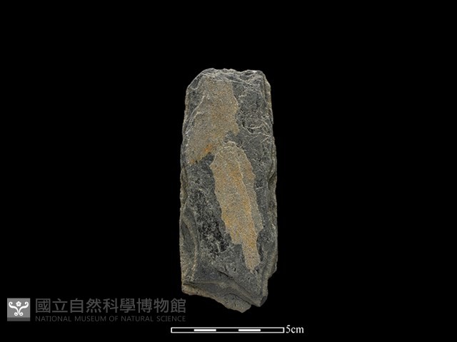 斧鋤形器藏品圖，第1張