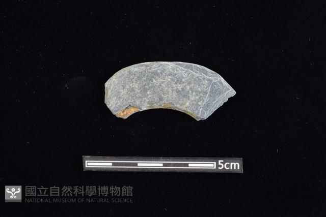 石環藏品圖，第1張