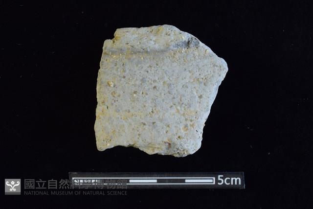 陶罐藏品圖，第1張