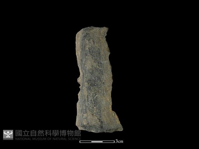 磨製有刃石器藏品圖，第1張