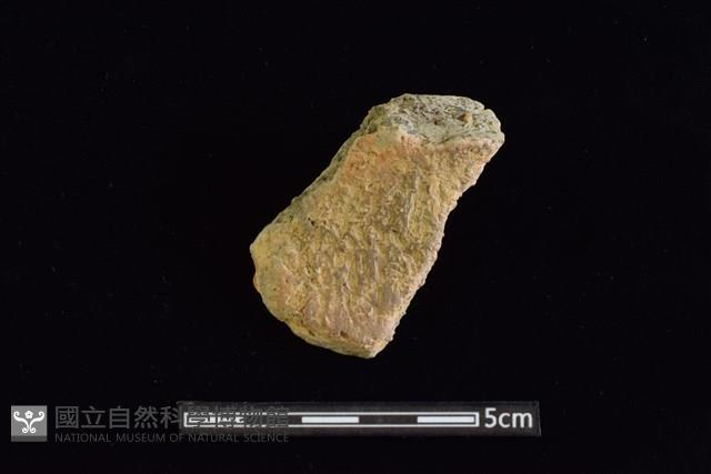 陶罐藏品圖，第1張