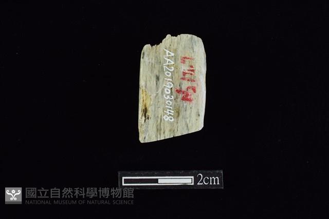 錛鑿形器藏品圖，第2張