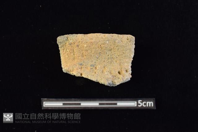 陶罐藏品圖，第1張