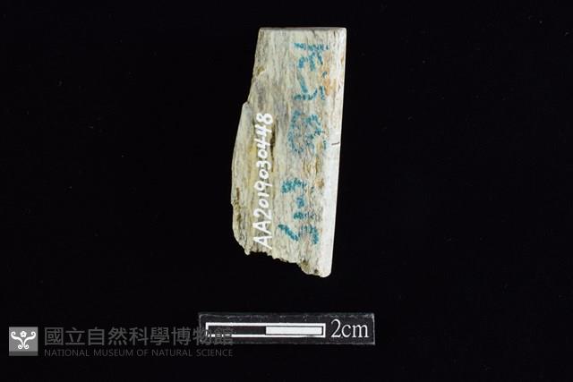 錛鑿形器藏品圖，第1張