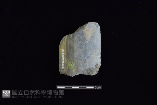 戈形器藏品圖，第1張