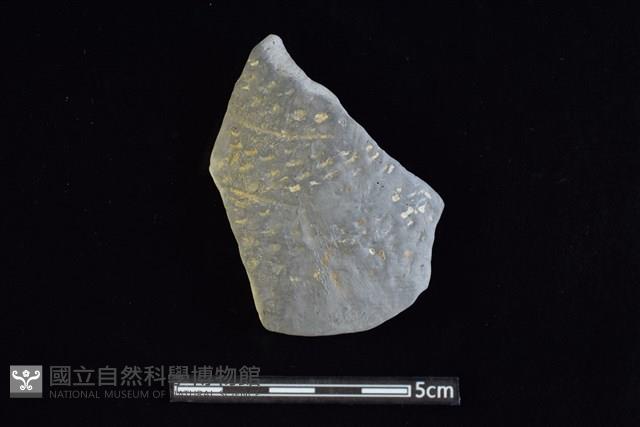 陶容器藏品圖，第1張