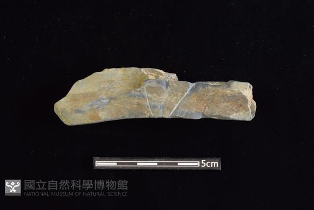 石鎚藏品圖，第1張