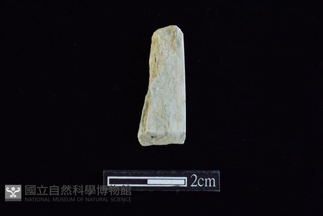 錛鑿形器藏品圖，第1張