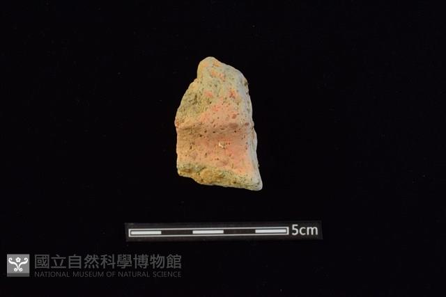 陶罐藏品圖，第1張