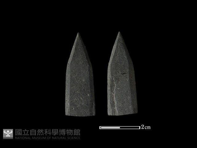 矛鏃形器藏品圖，第1張