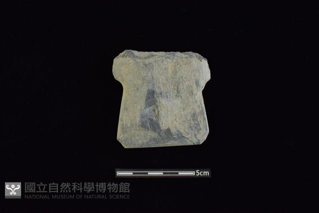 戈形器藏品圖，第1張