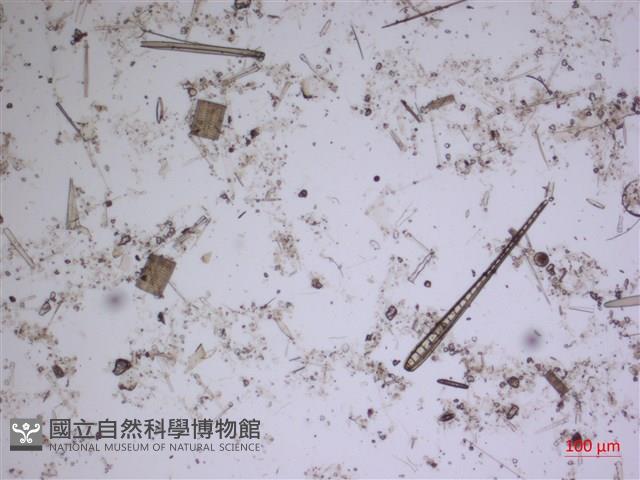 館號:A00004568藏品圖，第2張