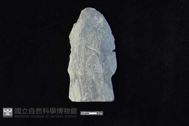 戈形器藏品圖，第1張