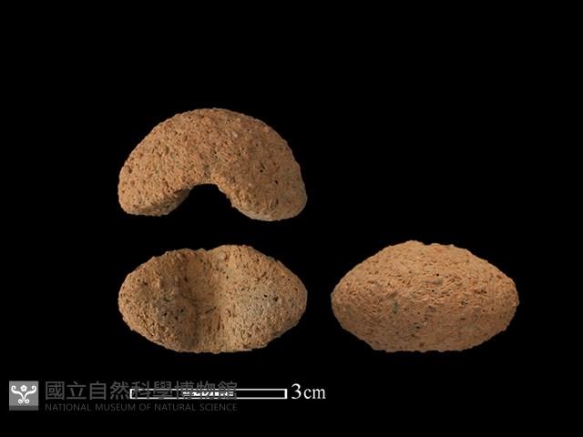 紡輪藏品圖，第1張