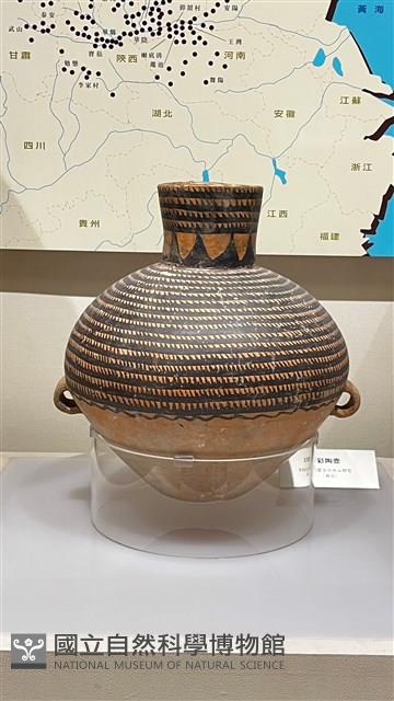 鋸齒環帶紋壺藏品圖，第2張