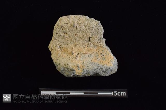 陶罐藏品圖，第1張