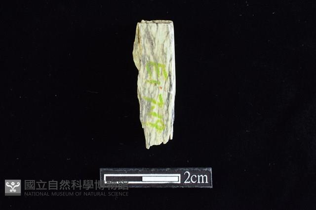 錛鑿形器藏品圖，第1張
